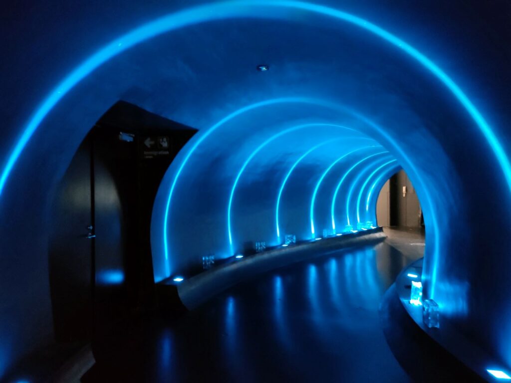 ブルーの輪で構成されたガリバートンネル