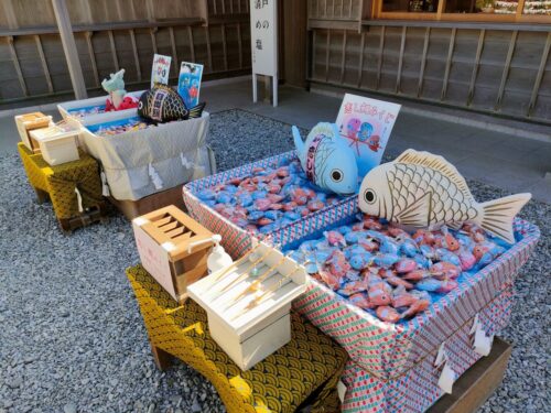 森戸神社の鯛の開運おみくじ