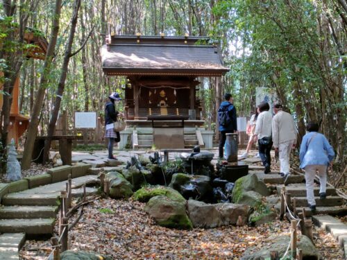 出雲大社相模分祠の千年の杜にある社龍蛇神の社