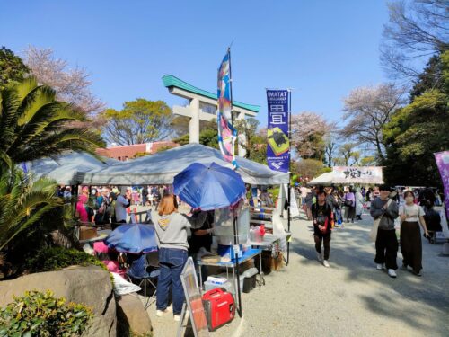出雲大社相模分祠の桜まつり風景