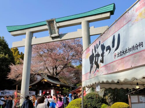 出雲大社相模分祠の桜祭りのテント