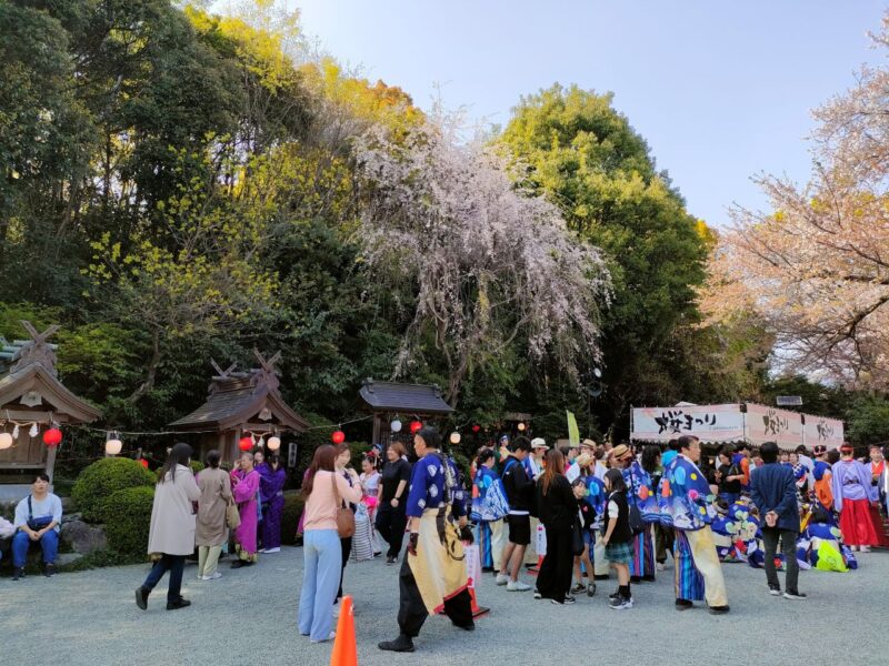 出雲大社相模分祠の桜祭り風景