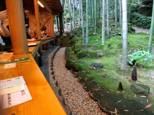 休耕庵前の竹林