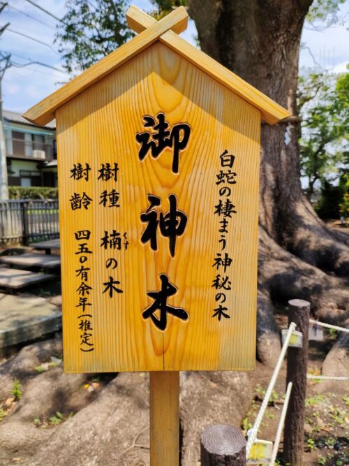 白蛇の棲む御神木の看板