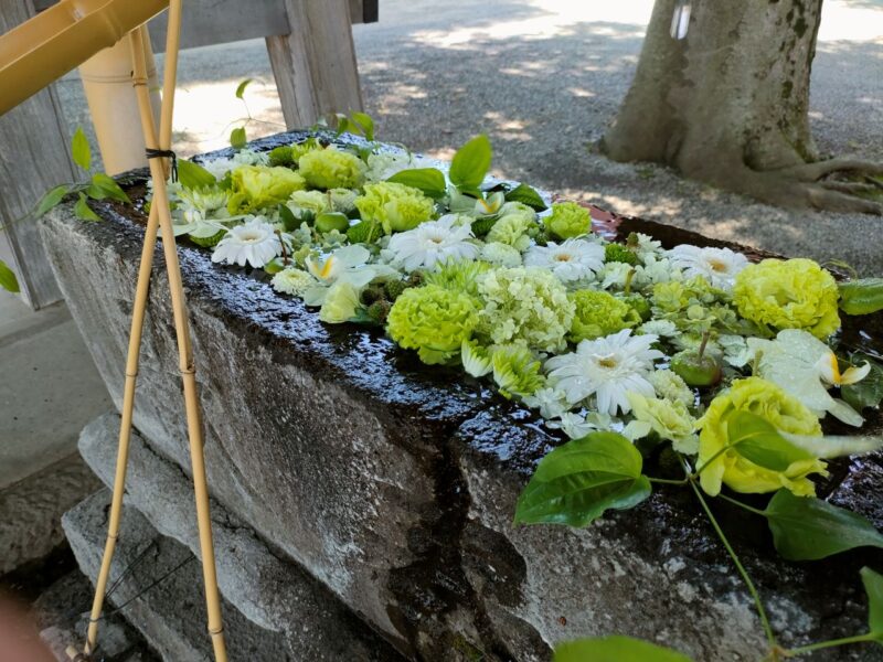 相模原氷川神社の花手水舎