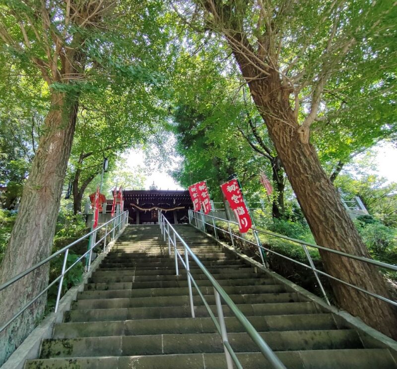 弥生神社社殿へ続く急な階段